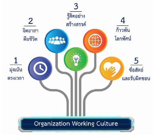 Organization-Working-Culture